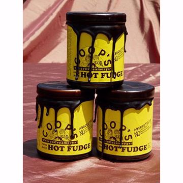 Picture of Coop's Hot Fudge 12/10oz