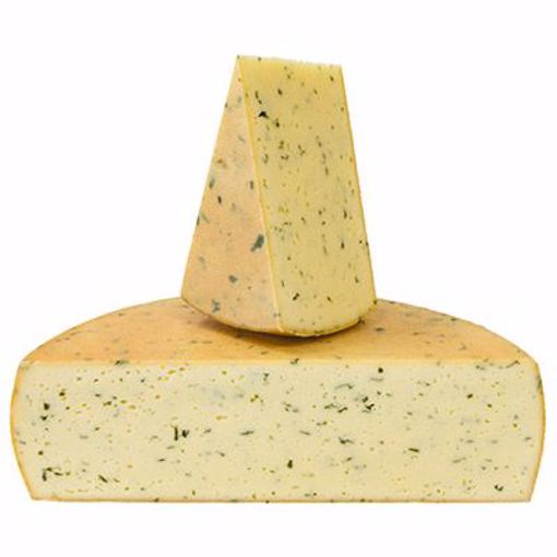 Picture of Lisa w/Ramps 1/13lbs