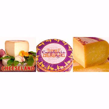 Picture of Ewephoria Sheepmilk Gouda 1/9lb
