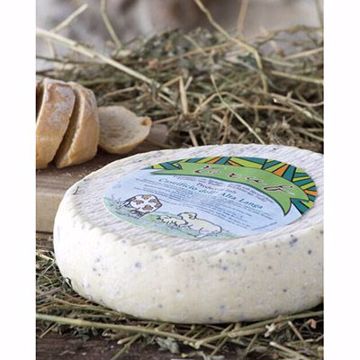 Picture of Alta Langa Truffle 3 Milk 1/3lbs