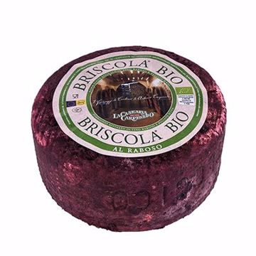 Picture of Briscola Bio 1/5.5lbs