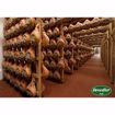 Picture of DEVODIER PROSCIUTTO DI PARMA 1/15LBS