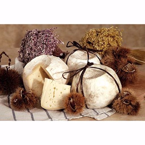 Picture of Persia Fior di Tiglio 8/800gm