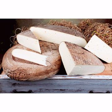 Picture of Persia Sabauda 1/6kgs