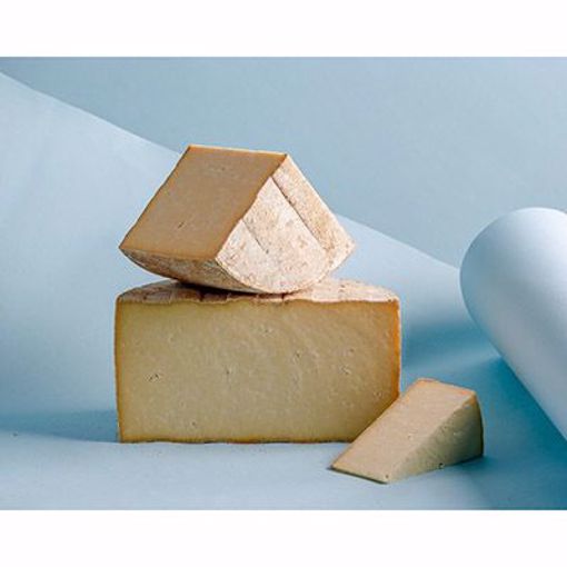 Picture of MYSTIC CACHALOT 1/12 LB