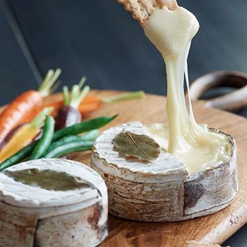 Picture of PT REYES QUINTA 8/5OZ