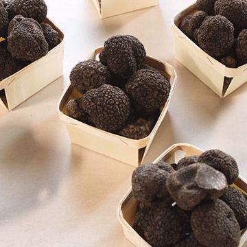 Picture of SABATINO WHOLE BLACK SUMMER TRUFFLES 6/1.4OZ