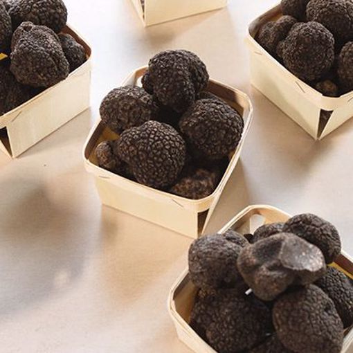 Picture of SABATINO WHOLE BLACK SUMMER TRUFFLES 6/1.4OZ