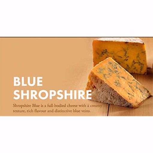 Picture of Neal's Yard Dairy Shropshire Blue Colston Bassett 1/18 lb PRE-ORDER