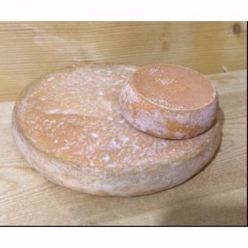 Picture of Tucker Hill Crossroads Large 1/8.5 lb
