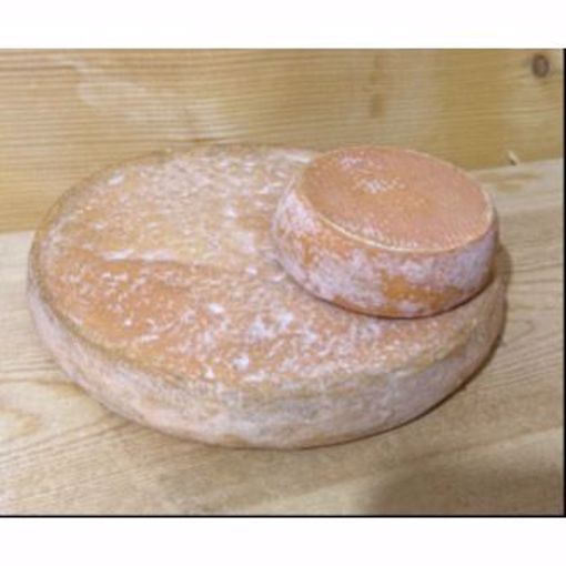 Picture of Tucker Hill Crossroads Large 1/8.5 lb